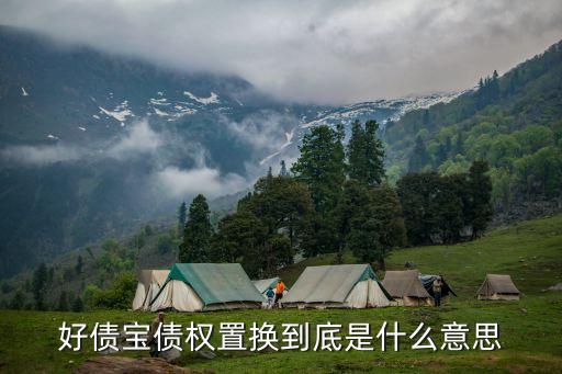 好債寶債權(quán)置換到底是什么意思