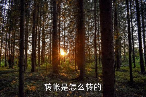 轉(zhuǎn)賬，什么是轉(zhuǎn)賬什么是匯款具體有什么區(qū)別通過銀行辦理的托收具體