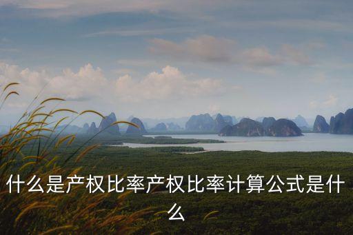 產(chǎn)權(quán)比率，什么是產(chǎn)權(quán)比率產(chǎn)權(quán)比率計算公式是什么