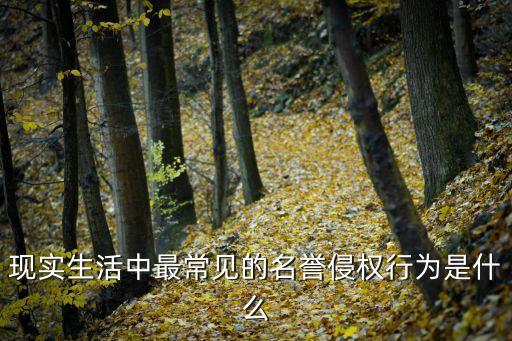 名譽(yù)侵權(quán)，現(xiàn)實(shí)生活中最常見(jiàn)的名譽(yù)侵權(quán)行為是什么