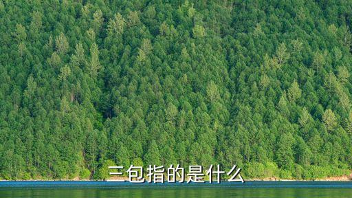 三包指的是什么