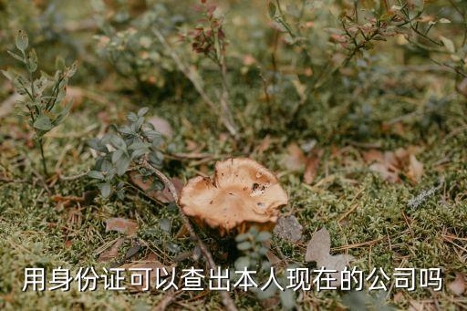 個人名下企業(yè)查詢，用身份證可以查出本人現(xiàn)在的公司嗎