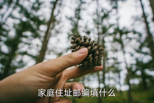 家庭住址郵編填什么