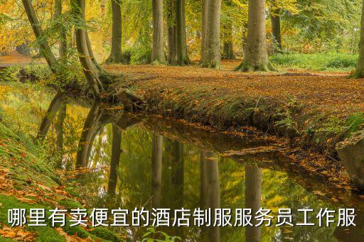 深圳絲襪會(huì)所，絲韻會(huì)館在哪里