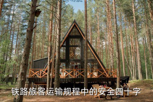 鐵路旅客運(yùn)輸規(guī)程，鐵路旅客運(yùn)輸規(guī)程