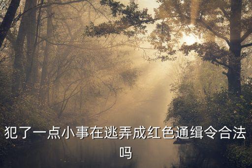 犯了一點(diǎn)小事在逃弄成紅色通緝令合法嗎