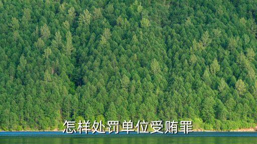 單位受賄罪，怎樣處罰單位受賄罪