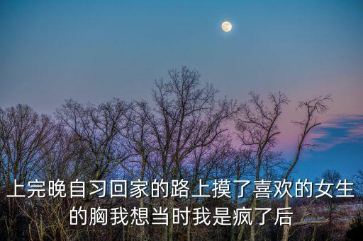 上完晚自習(xí)回家的路上摸了喜歡的女生的胸我想當(dāng)時(shí)我是瘋了后