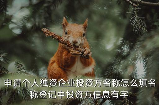 投資方，什么樣的單位可以做投資方