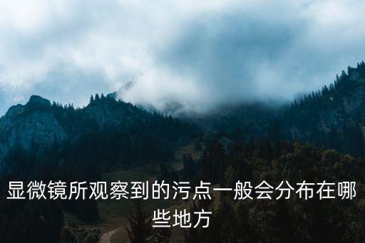 顯微鏡所觀察到的污點(diǎn)一般會(huì)分布在哪些地方