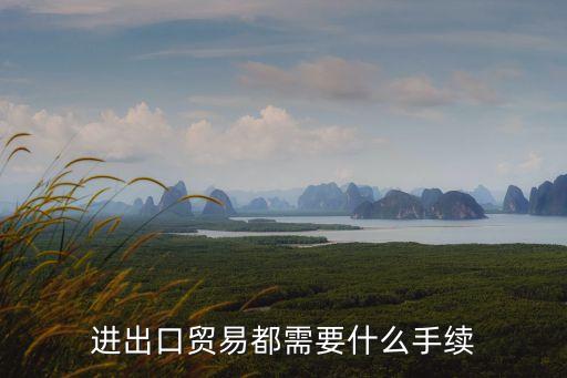 進(jìn)出口貿(mào)易都需要什么手續(xù)