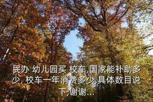 民辦 幼兒園買(mǎi) 校車(chē),國(guó)家能補(bǔ)助多少, 校車(chē)一年消費(fèi)多少,具體數(shù)目說(shuō)下,謝謝...
