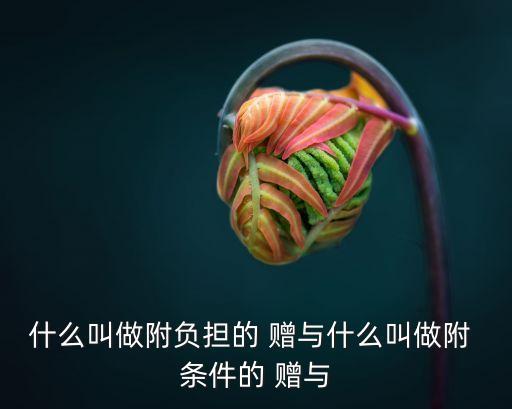 什么叫做附負(fù)擔(dān)的 贈(zèng)與什么叫做附 條件的 贈(zèng)與