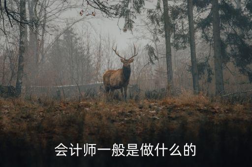 會(huì)計(jì)師是干什么的，會(huì)計(jì)師一般是做什么的