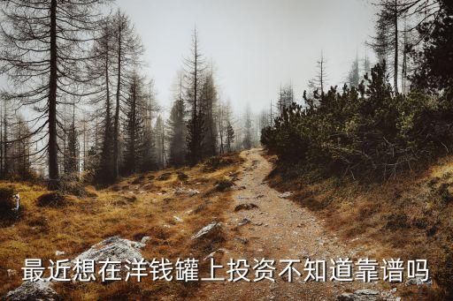 最近想在洋錢(qián)罐上投資不知道靠譜嗎