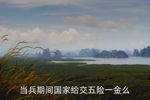 當(dāng)兵有五險(xiǎn)一金嗎，當(dāng)兵期間國家給交五險(xiǎn)一金么
