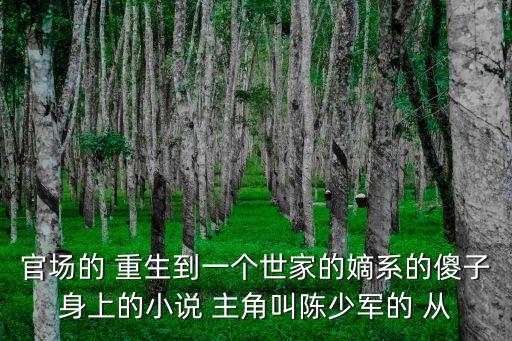 官場的 重生到一個世家的嫡系的傻子身上的小說 主角叫陳少軍的 從
