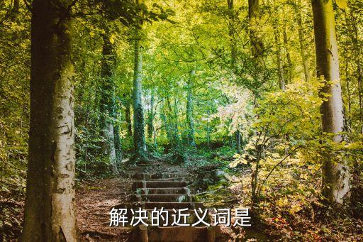 解決的意思，解決的近義詞是