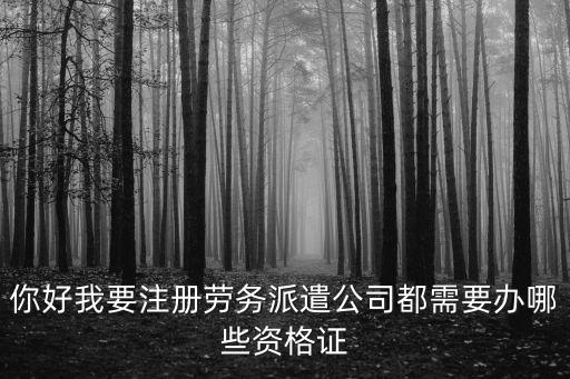 你好我要注冊(cè)勞務(wù)派遣公司都需要辦哪些資格證