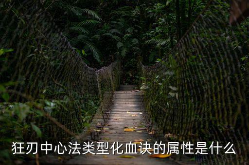 類型化，狂刃中心法類型化血訣的屬性是什么
