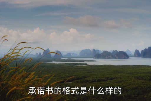 承諾書的格式是什么樣的