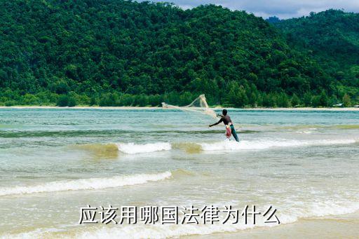 301條款，美國(guó)301條款和201條款還存在嗎 美國(guó)總統(tǒng)取消了嗎