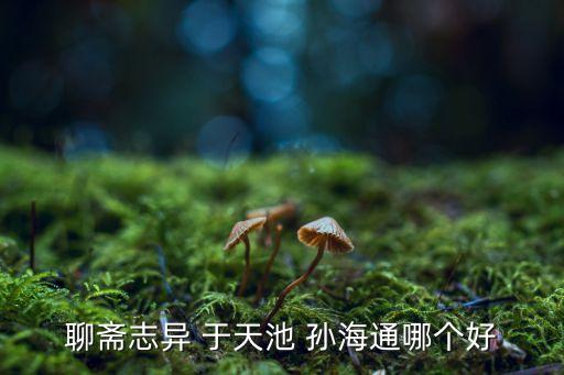 聊齋志異 于天池 孫海通哪個(gè)好