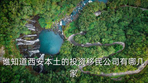 誰(shuí)知道西安本土的投資移民公司有哪幾家