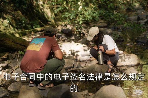 電子簽名法，電子合同中的電子簽名法律是怎么規(guī)定的