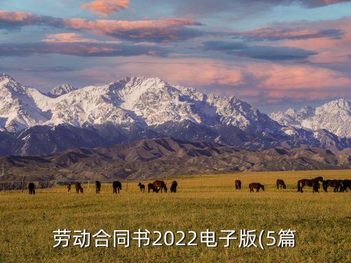 勞動(dòng)合同書2022電子版(5篇