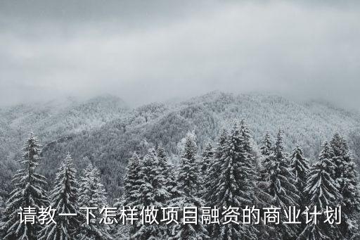 融資計(jì)劃，想要找風(fēng)投公司融資請(qǐng)問(wèn)這個(gè)融資計(jì)劃怎樣寫呀