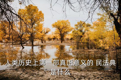 法國(guó)民法典