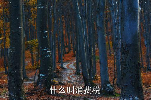 什么叫消費(fèi)稅