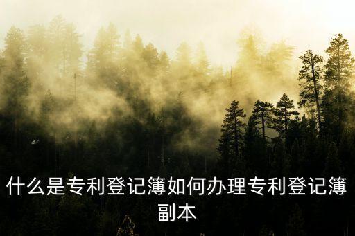 專利登記簿，誰知道專利登記簿登記什么內(nèi)容