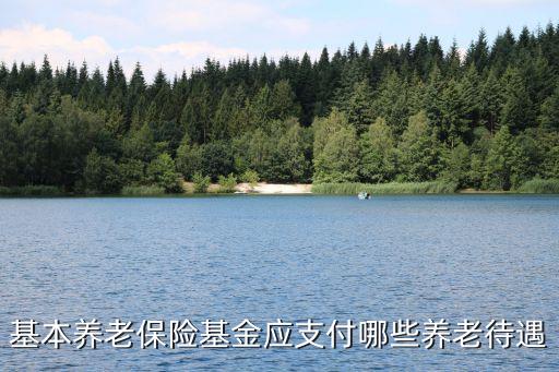 基本養(yǎng)老保險，基本養(yǎng)老保險基金應(yīng)支付哪些養(yǎng)老待遇