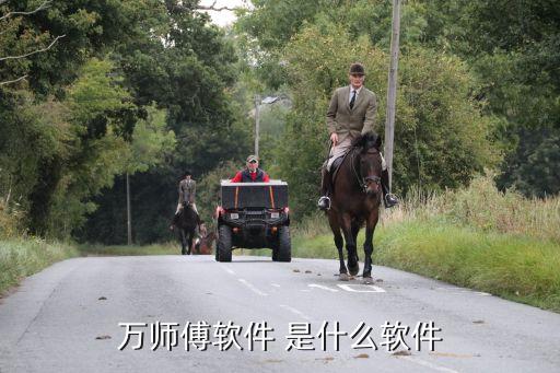 萬(wàn)師傅平臺(tái)，萬(wàn)師傅軟件 是什么軟件
