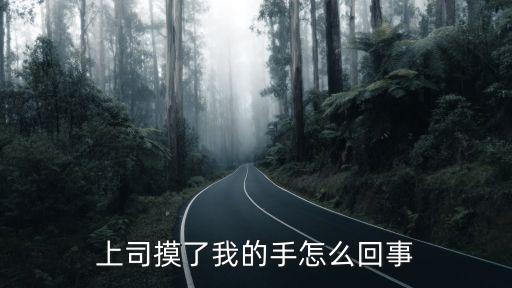 老板摸我，老板愛偷看偷摸我我咋辦