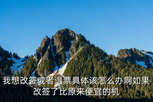 我想改簽或者退票具體該怎么辦啊如果改簽了比原來便宜的機(jī)
