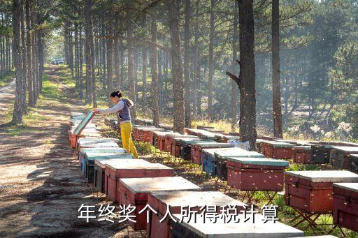 年終獎個稅計(jì)算器，年終獎個人所得稅計(jì)算