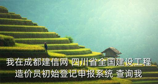 我在成都建信網(wǎng) 四川省全國(guó)建設(shè)工程造價(jià)員初始登記申報(bào)系統(tǒng) 查詢我