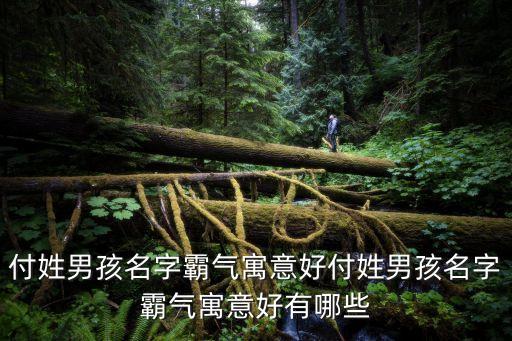 付健