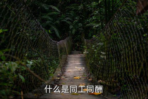 什么是同工同酬