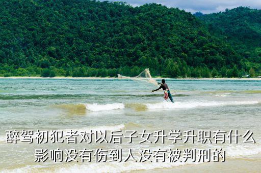 醉駕對子女有什么影響，醉駕入刑后對子女有甚么影響