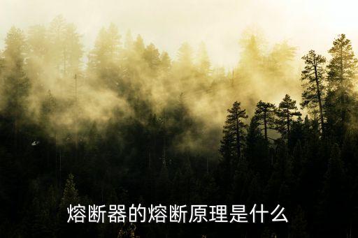 熔斷是什么意思，保險絲迅速熔斷是怎么回事