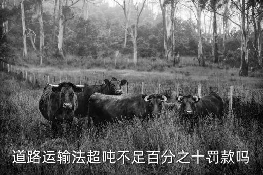 道路運(yùn)輸法超噸不足百分之十罰款嗎
