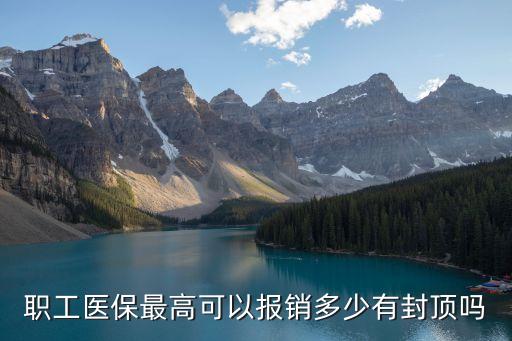 醫(yī)保報銷上限，醫(yī)療保險報銷是否有最高額