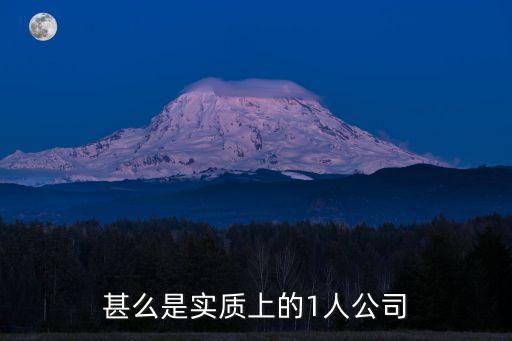 一人公司，甚么是實(shí)質(zhì)上的1人公司