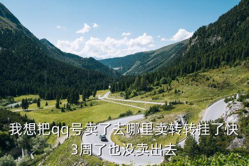 qq號自助賣號平臺，QQ靚號交易網(wǎng)誰知道放過來我賣靚號