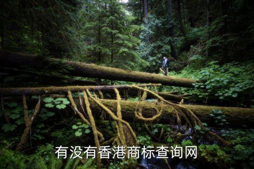有沒有香港商標查詢網(wǎng)