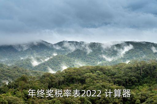 年終獎個人所得稅計(jì)算器,個人所得稅計(jì)算器